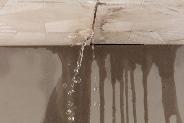Professional Water Extraction technician working in Chisholm, MN